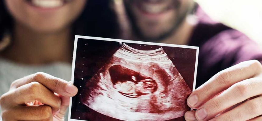 Ultrasound image - pregnancy study